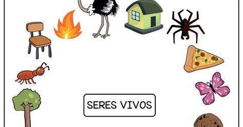 Imagens Seres Não Vivos - **♥***♥** Diário da Profa Glauce **♥***♥**: Ciências: Seres vivos e ...