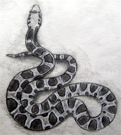draw  realistic snake draw real snake step  step drawing
