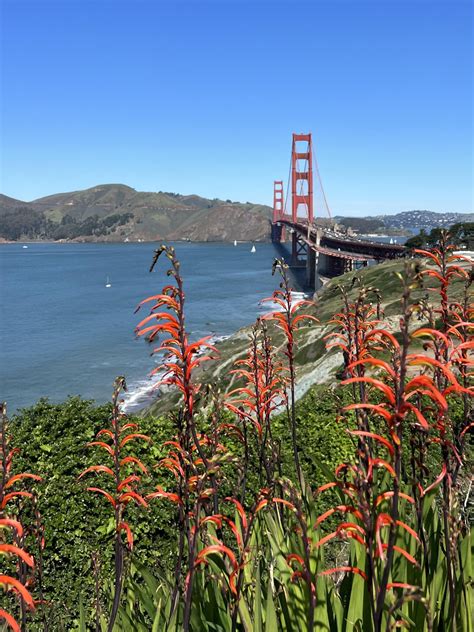 San Francisco’s Nudist Coast : r/NorCalNudists