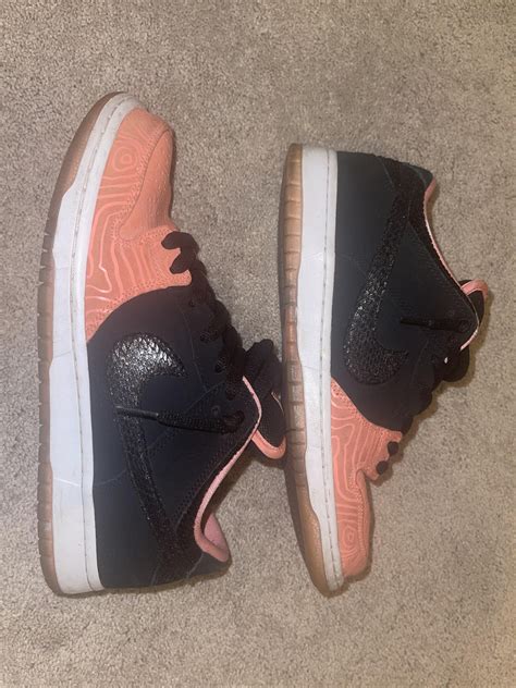 Nike SB fish ladders 🐠🪜 : r/Sneakers