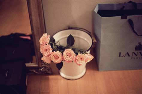 Roses in bucket.