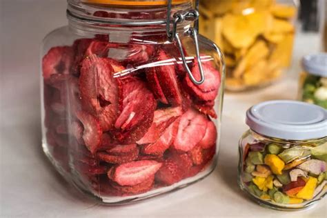 O Que É Liofilizado - Alimentos liofilizados: tudo o que você precisa saber - GEPEA