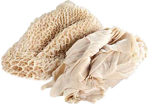 tripe persian chicken