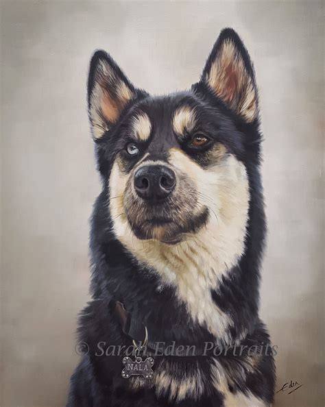 Siberian Husky Painting by Sarah Eden - Nala | Dog paintings, Dog