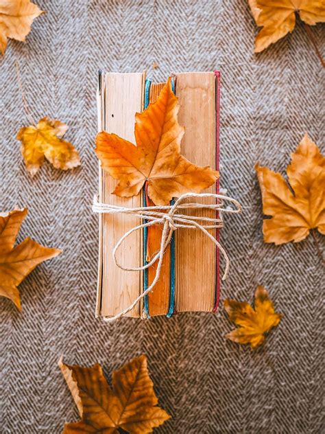 10 Ideas for How to Decorate your Home When you're Broke: Fall Inspired