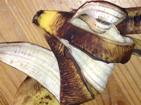 What To Do With Banana Peels at Kathy Lighty blog