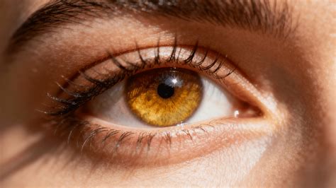 Limbal Rings: What They Reveal About Your Eyes – Wooeye