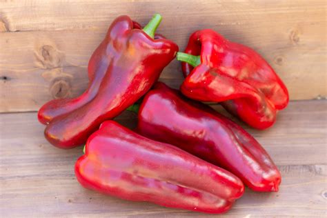 ИТАЛЬЯНСКИЙ САПОГ — BTomate