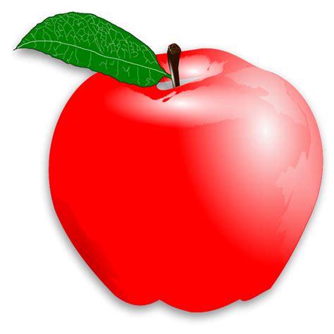 apple transparent   apple transparent png images