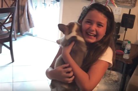 Have You Seen This? Girl can’t handle puppy surprise | KSL.com