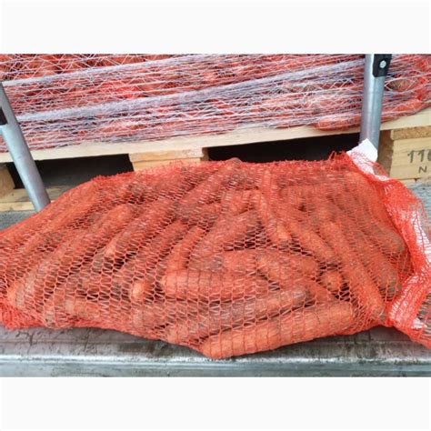 Фото к объявлению: морква свіжа Польща — Agro-Ukraine