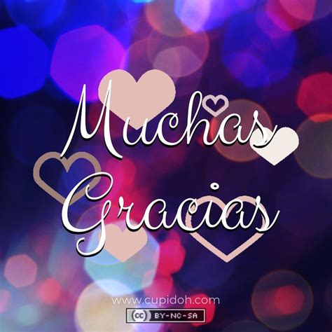 Frases de agradecimiento y GIF para dar las gracias - cupidoh.com