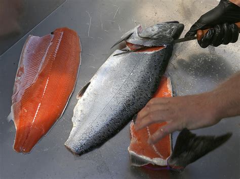 California likely to shorten chinook salmon season
