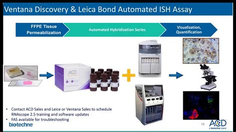 Aug 28, 2018 - Getting Started and Troubleshooting Tips for RNAscope® and BaseScope™ Assays ...