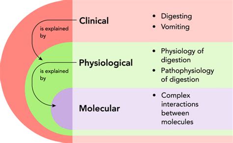 defining physiology life lines  dr dolittle