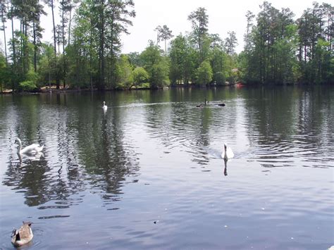 Swan Lake Sumter, NC