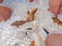 19 Pre K craft ideas and lesson plans | k crafts, winter preschool ...