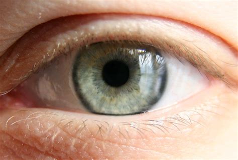 retinal images  genetic data researchers predict