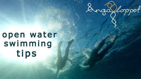 Safety in open water swimming – tips | Swimmer's Daily