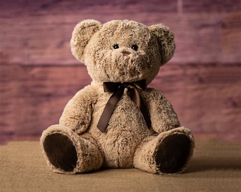 Tổng hợp hình nền gấu bông cute đáng yêu và dễ thương