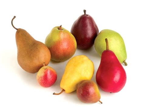 differences  pear varieties stemilt growers pear varieties