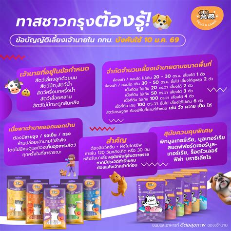 FELIS & CANIS | Bangkok