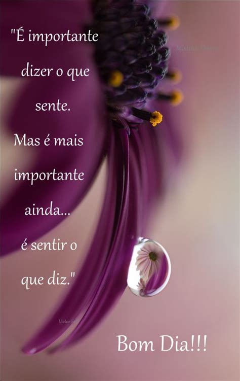 Mensagens Lindas Para Whatsapp - Lindas mensagens para whatsapp, Frases e mensagens, Mensagens