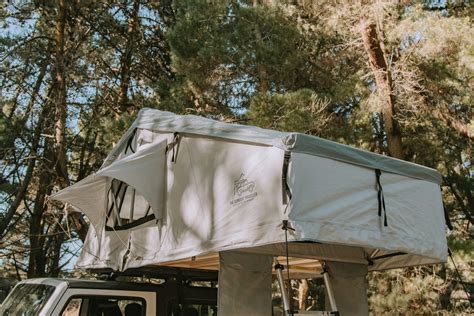 The Curious Traveller - Caitlin Ann