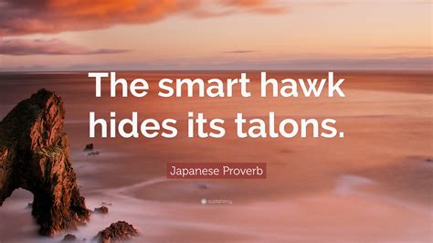 Japanese Proverb Quote: “The smart hawk hides its talons.”
