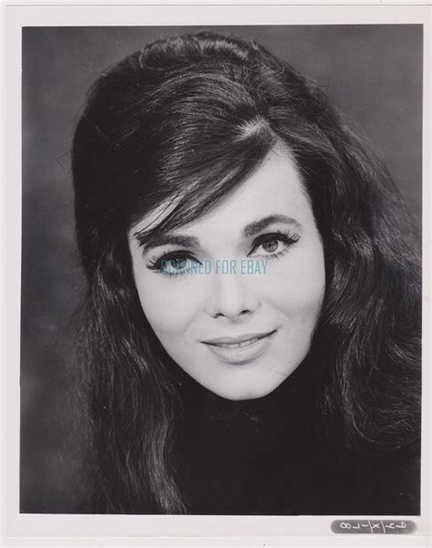OUR MAN FLINT GLAMOUR PUBLICITY 8X10 OF SEXY SPY GIRL GILA GOLAN | eBay
