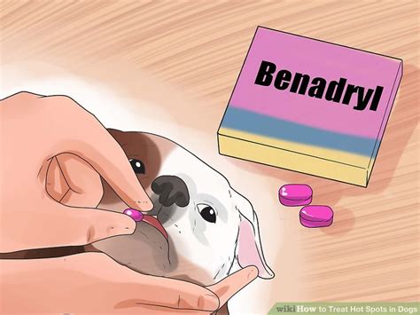 how to treat a dogs hot spot