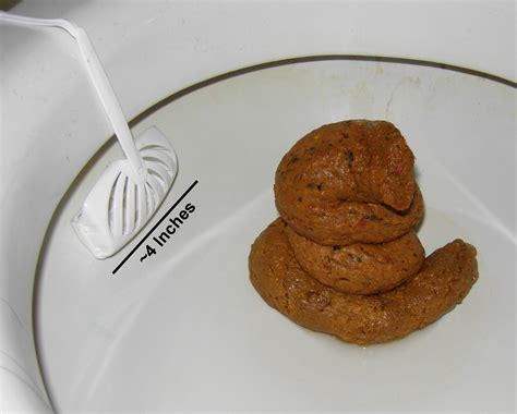 What Does Healthy Human Poop Look Like
