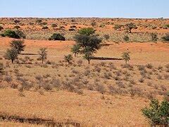 geografiya namibii vikipediya