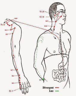 Ponto Do Intestino Na Mão - Medicina Tradicional Chinesa - MTC: Meridiano do Intestino Delgado - MTC