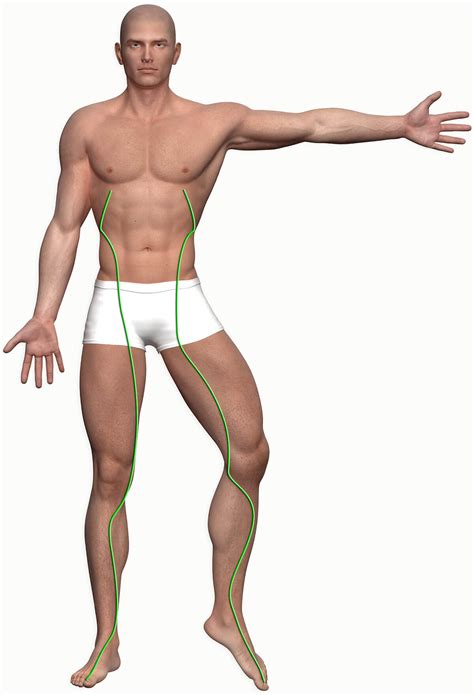 Straddle for the liver - meridian