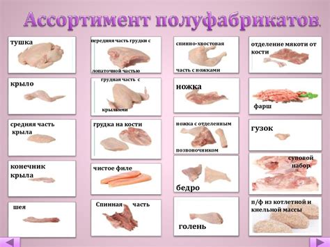 Обработка домашней птицы, технология приготовления полуфабрикатов из ...