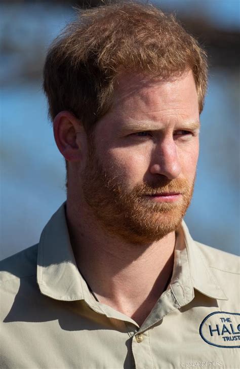 prince harry   princess dianas footsteps  minefield