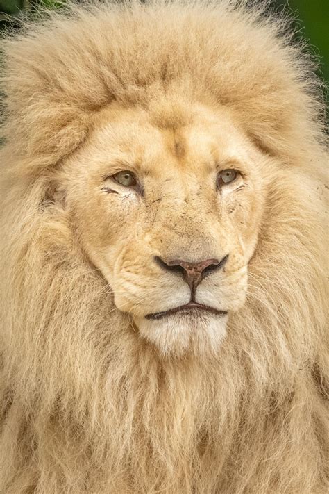 Sophie+Rain+Images Photos, Download The BEST Free Sophie+Rain+Images