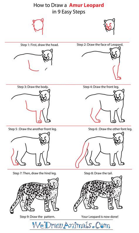 how to draw a leopard