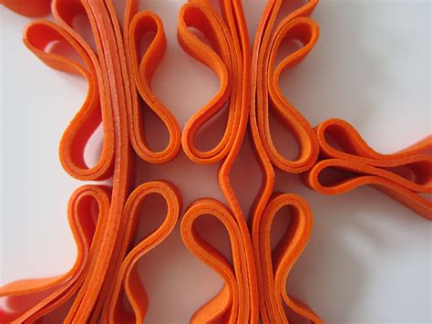 elastics  behance