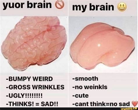 smooth memes  collection  funny smooth pictures  ifunny