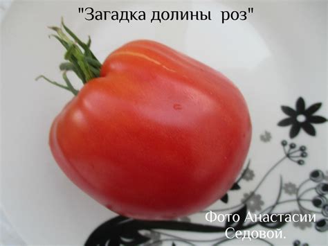 Томат Загадка долины роз: описание сорта, отзывы, фото | tomatland.ru