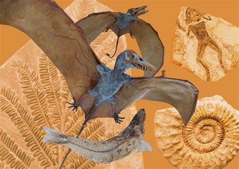 collage work edmund rogers illustrates