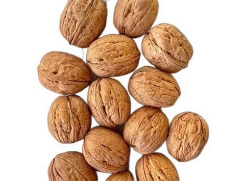 grade  walnut  rs kg  walnut  navi mumbai id