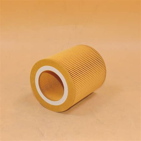 Воздушный фильтр C1250 PA30015 AF26419 SA19367 2013400003,поставщики и ...