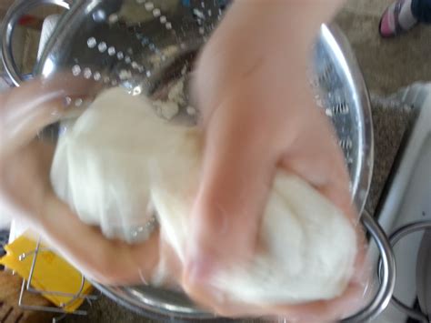 cheese   cheese making kit