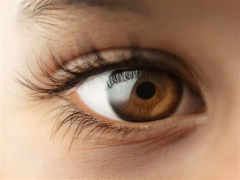 eyes chico   lie   detect  number  health