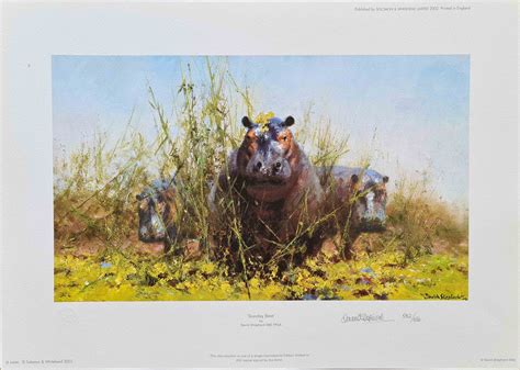 David Shepherd signed prints, limited editions and Paintings