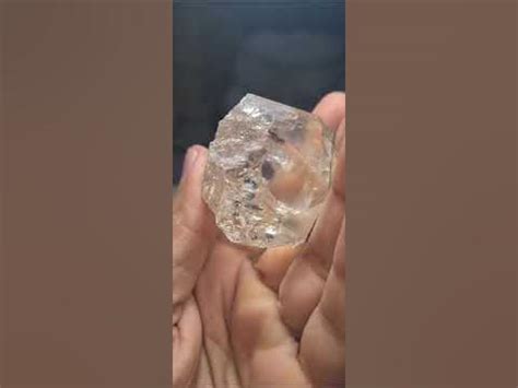 From Silence To Shout Mifsad Shocks With Erom S Scandalous Truth news