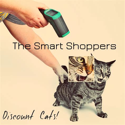 The Smart Shoppers- Discount Cats! : r/fakealbumcovers